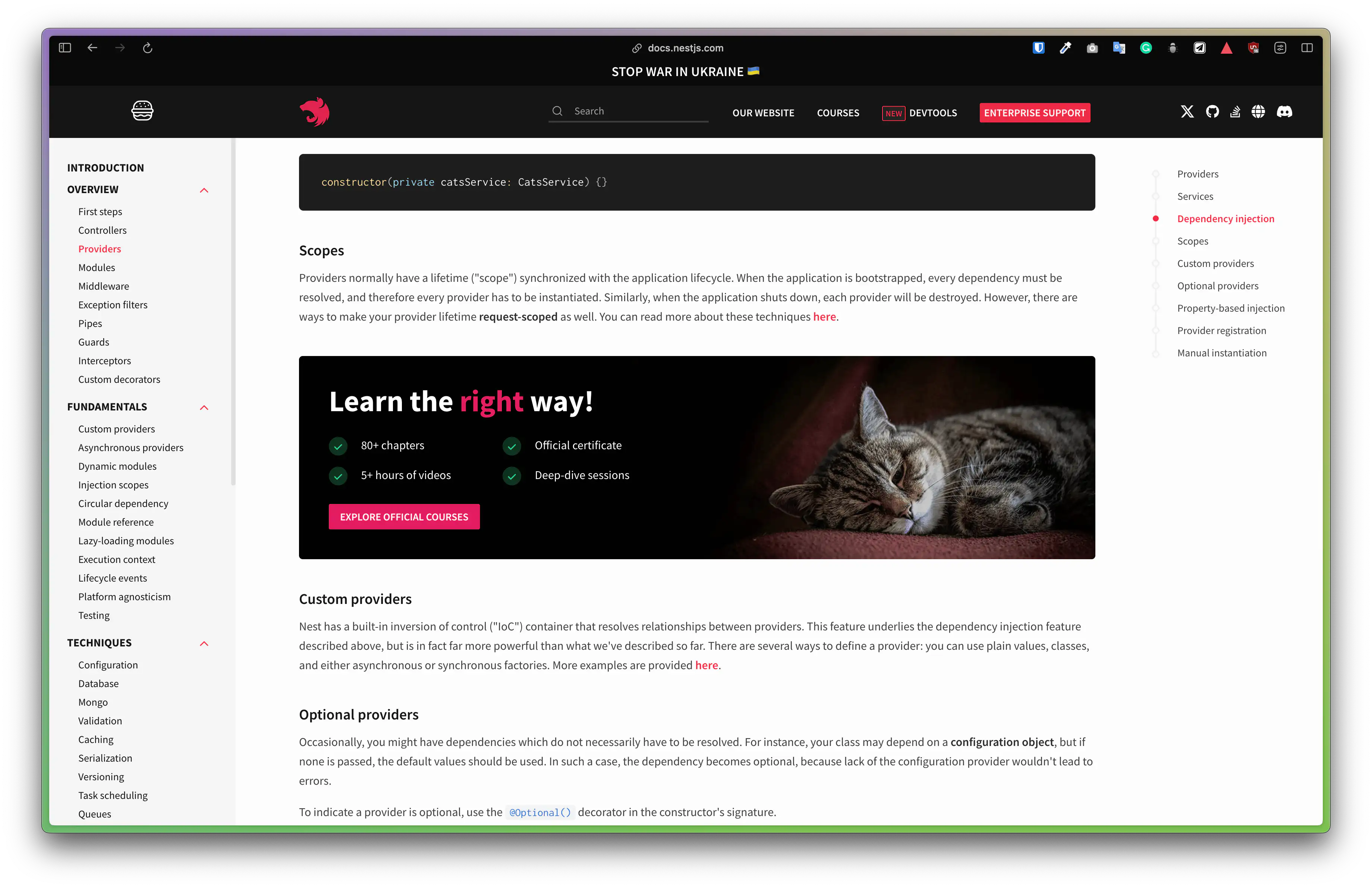 NestJS course promotion in the middle of documentation